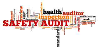 Safety Management Systems and Auditing